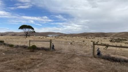 Lot 449 Pine Crest Road Cambrai SA 5353 - Image 2