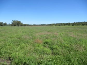 AUCTION - "IRONBARK 1" - 148 ACRES Kaimkillenbun QLD 4406 - Image 3