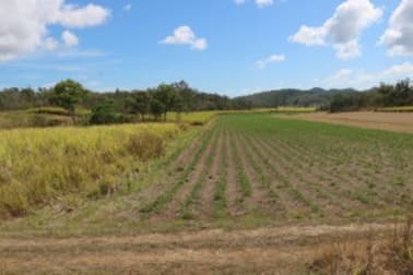 Mount Jukes QLD 4740 - Image 1