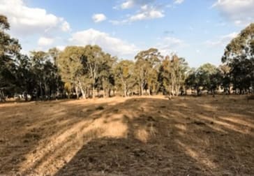 Click to view all images Lot 200 Aphrah Avenue Crows Nest QLD 4355 - Image 1