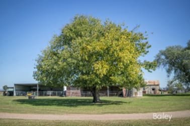 19 Waddells Lane Singleton NSW 2330 - Image 3