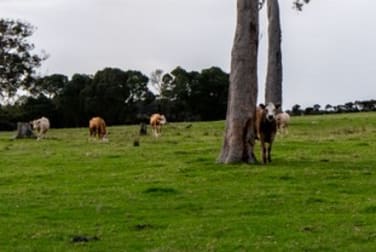 2685 Scotsdale Road Denmark WA 6333 - Image 2
