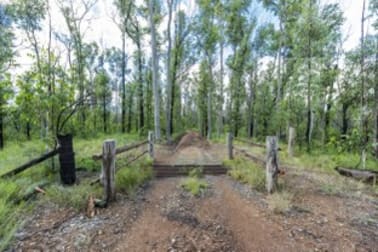 484 Glens Creek Road Nymboida NSW 2460 - Image 3