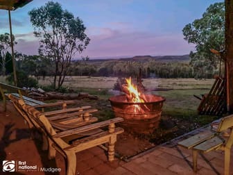 1324 Mogo Road Mudgee NSW 2850 - Image 1