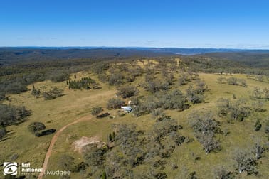 1324 Mogo Road Mudgee NSW 2850 - Image 3
