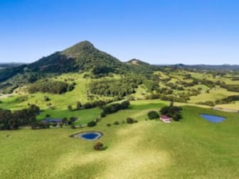 42 Lukes Road Cooroy Mountain QLD 4563 - Image 1