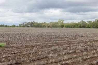 Capella QLD 4723 - Image 3