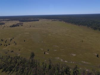 Tara QLD 4421 - Image 3