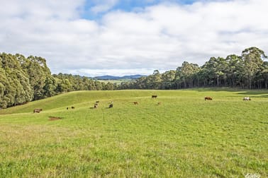 0 McGees Road Moorleah TAS 7325 - Image 2