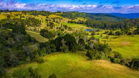 942 Maleny Stanley River Road Booroobin QLD 4552 - Image 2