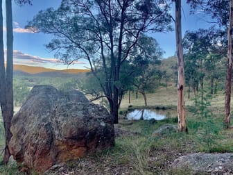Lot 17 Putty Road Howes Valley NSW 2330 - Image 3