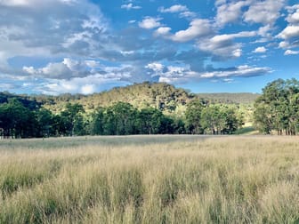 Lot 17 Putty Road Howes Valley NSW 2330 - Image 2