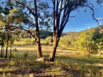 Lot 17 Putty Road Howes Valley NSW 2330 - Image 3