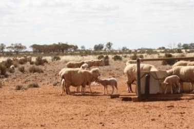 - 'Wendi Station' 807 Tandou Road Broken Hill NSW 2880 - Image 2