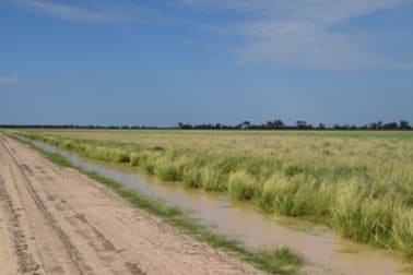 'Malabar' 2012 Wilby Wilby Road Walgett NSW 2832 - Image 1
