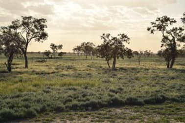 'Malabar' 2012 Wilby Wilby Road Walgett NSW 2832 - Image 3