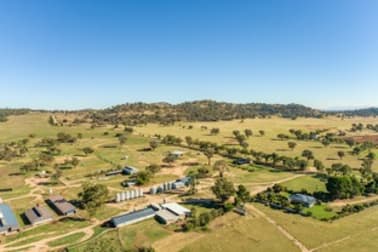 "Springview" Loch Lomond Road Gooloogong NSW 2805 - Image 1