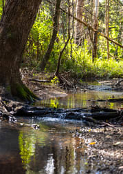 136 Miss Careys Road Killabakh NSW 2429 - Image 3
