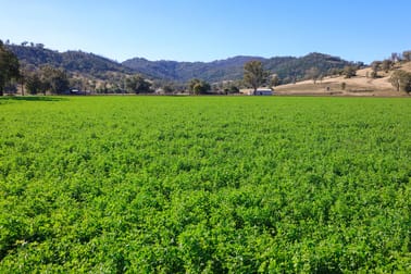 1097 Nundle Road Tamworth NSW 2340 - Image 1