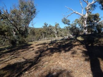 Lot 16 Brassey Trail Bungarby NSW 2630 - Image 3