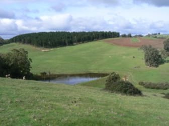 Lot 2 Upper Capel Road Upper Capel WA 6239 - Image 1