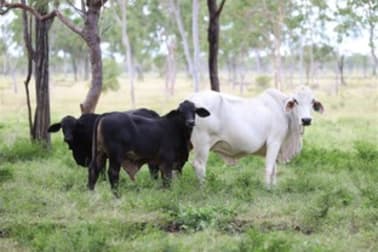 143 Inkerman Station Road Home Hill QLD 4806 - Image 2