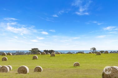 70 Wallaces Road Dromana VIC 3936 - Image 3