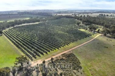 150 Susans Lane Percydale Via Avoca VIC 3467 - Image 1
