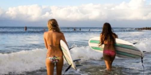 Import, Export & Wholesale  business for sale in Gold Coast Greater Region QLD - Image 3