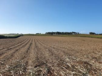 489 Hay Point Road Alligator Creek QLD 4740 - Image 3
