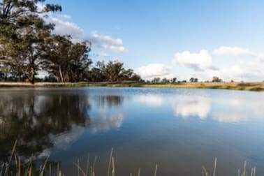 Young NSW 2594 - Image 2