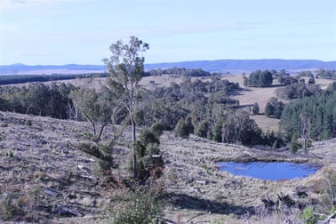 Lot 38 South Forest Way Kindervale Braidwood NSW 2622 - Image 2