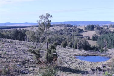 Lot 38 South Forest Way Kindervale Braidwood NSW 2622 - Image 3