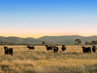 Lot 11 De Beyer's Road Pokolbin NSW 2320 - Image 1