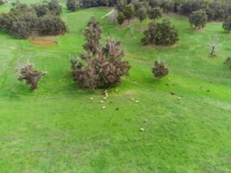 Lot 8474 Da Ronchs Road North Greenbushes WA 6254 - Image 3