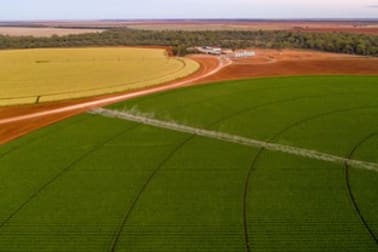 Lachlan River Road Hillston NSW 2675 - Image 1