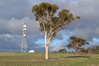 . 'The Tower Block' Tammin WA 6409 - Image 3