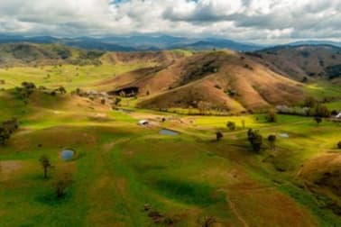 400 Horse Creek Road Jingellic NSW 2642 - Image 1