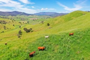 400 Horse Creek Road Jingellic NSW 2642 - Image 2