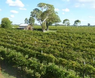 11 Maaoupe Road Coonawarra SA 5263 - Image 1
