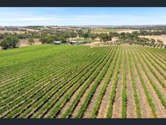 82 Koop Creek Road (Springton Hills Wines) Springton SA 5235 - Image 2