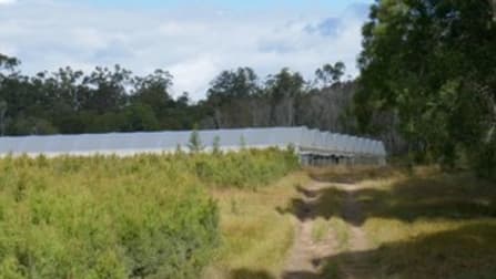 2670 Bungawalbin Whiporie Road Gibberagee NSW 2469 - Image 2