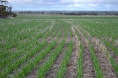. 'Edenhope' Tammin WA 6409 - Image 1