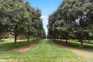 204 Cooks Lane Dalwood NSW 2477 - Image 2