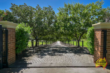 325 Finns Road Menangle NSW 2568 - Image 3