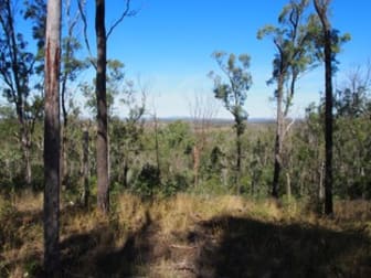 LOT 39 NIELSONS ROAD Good Night QLD 4671 - Image 1
