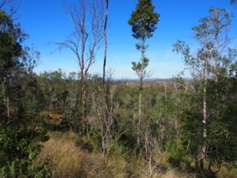 LOT 39 NIELSONS ROAD Good Night QLD 4671 - Image 2