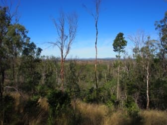 LOT 39 NIELSONS ROAD Good Night QLD 4671 - Image 3