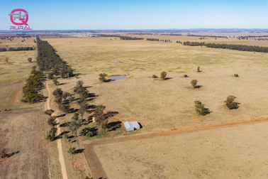 376 Yiddah Road West Wyalong NSW 2671 - Image 3