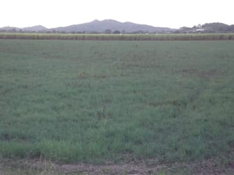 Eton QLD 4741 - Image 1